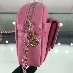 2019 Chanel camera case