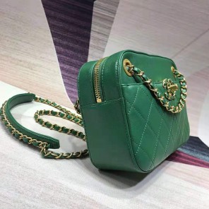 2019 Chanel camera case