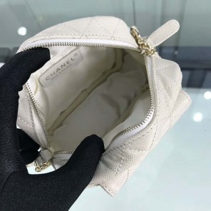 2019 Chanel camera case