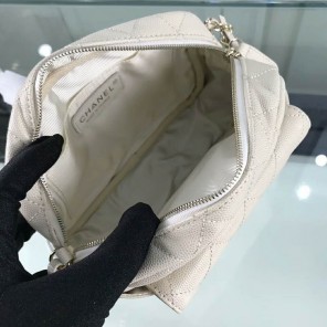 2019 Chanel camera case