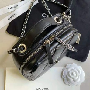 2020 Chanel camera case