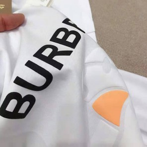 2021 Burberry Clothes