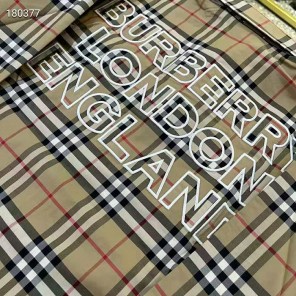 2021 Burberry Clothes