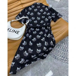 2021 Celine Clothes