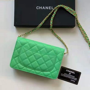 2021 Chanel 19 WOC Mini Flap Bag