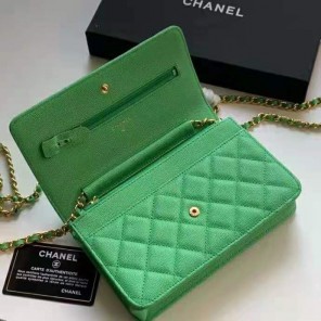 2021 Chanel 19 WOC Mini Flap Bag