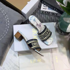 2021 Dior women shoes