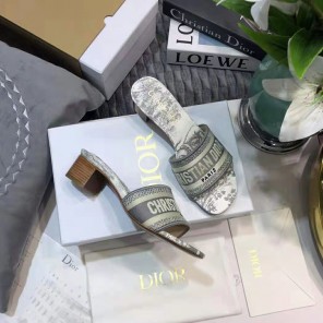 2021 Dior women shoes