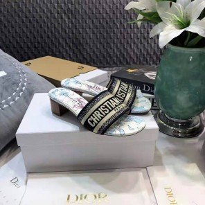 2021 Dior women shoes