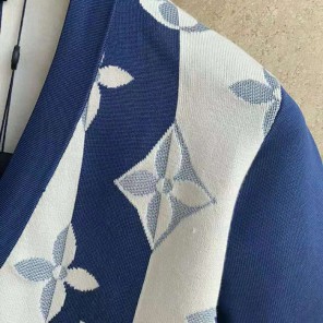 2021 Louis vuitton Clothes