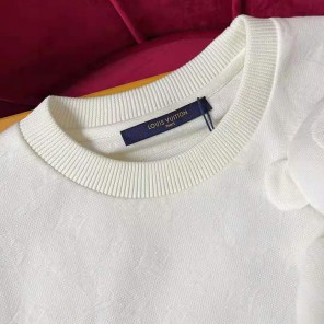 2021 Louis vuitton Clothes