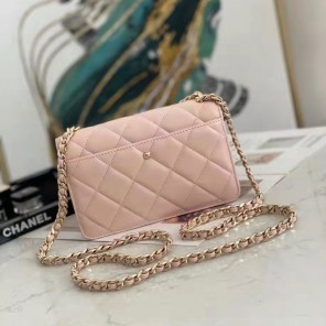 2022 CHANEL WALLET ON CHAIN