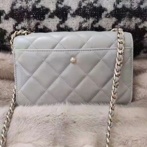2022 Chanel Wallet On Chain