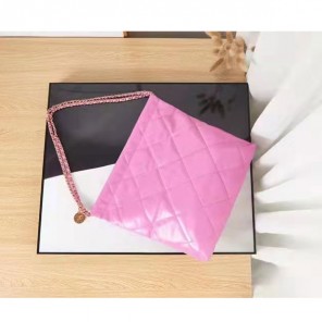 2022 Chanel shopping bag