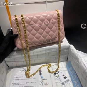 2023 Chanel Flap Bag