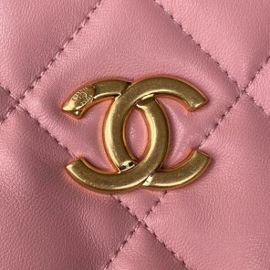 2023 Chanel Hobo Handbag