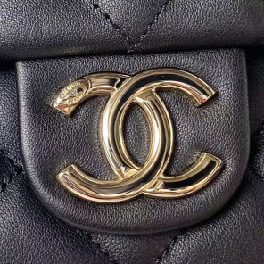 2023 Chanel Hobo Handbag