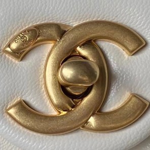 2023 Chanel Mini Flap Bag