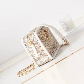 2023 Chanel SMALL CAMERA CASE