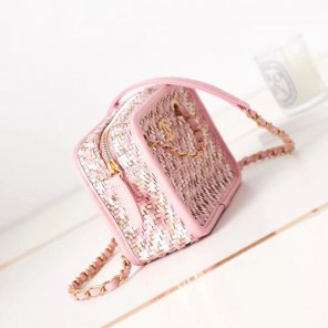 2023 Chanel SMALL CAMERA CASE