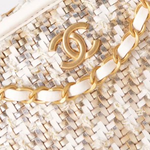 2023 Chanel SMALL CAMERA CASE