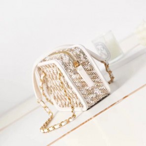 2023 Chanel SMALL CAMERA CASE