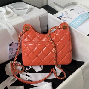 2023 Chanel Small Hobo Handbag