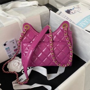 2023 Chanel Small Hobo Handbag