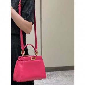 2023 Fendi Lconic Peekaboo Small