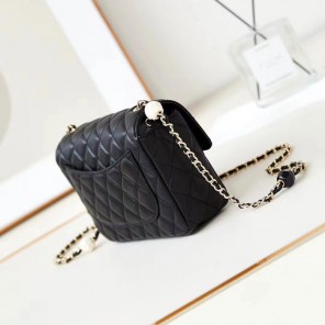 2024 Chanel Flap Bag