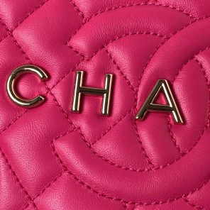 2024 Chanel STAR HANDBAG