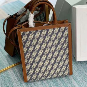 CELINE CABAS IN TRIOMPHE CANVAS