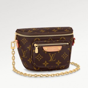 Louis vuitton Mini Bumbag