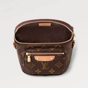Louis vuitton Mini Bumbag