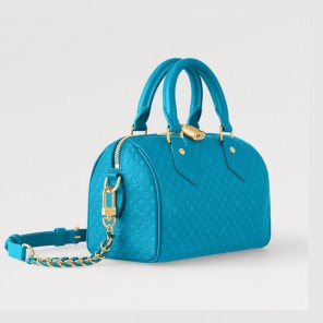 Louis vuitton Seedy Bandouliere 20