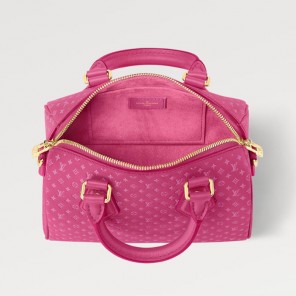 Louis vuitton Seedy Bandouliere 20