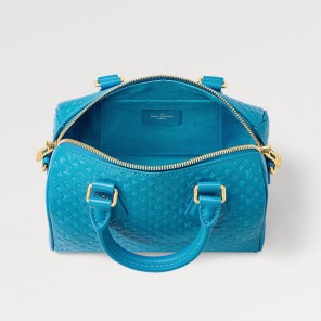 Louis vuitton Seedy Bandouliere 20