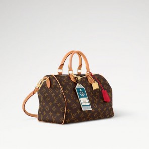 Louis vuitton Speedy Soft 30 Crafty
