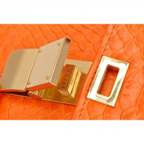 Hot Sell Celine Classic Box Small Flap Bag Snake Leather Orange