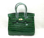 2015 Hermes Birkin 25cm Crocodile stripes Leather Handbag H25 Green H25