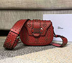 2018 Dior D-FENCE SADDLE BAG IN STUDDED CALFSKIN 846