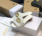 2021 Dior women shoes DSW0669