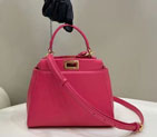 2023 Fendi Lconic Peekaboo Small 8315S