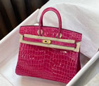 2023 Hermes Birkin BK25