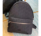 DIOR BACKPACK 088S