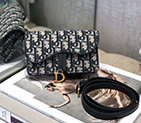 DIOR SADDLE BELT POUCH S5619