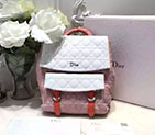 Dior SMALL STARDUST BACKPACK IN LAMBSKIN M1504