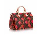 Louis vuitton SPEEDY 30 RAMAGES M41527 M41527