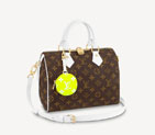 Louis vuitton SPEEDY BANDOULIERE 25 M20754