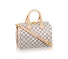 Louis vuitton SPEEDY BANDOULIERE 25 N41000 N41000
